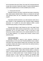 Diplomdarbs 'Starptautiskais finanšu tirgus', 19.