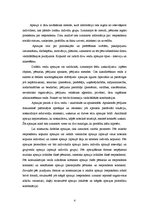 Referāts 'Aptauju veidi. Aptauju priekšrocības un trūkumi mārketinga pētījumos', 4.