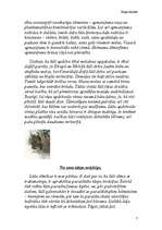 Referāts 'Kaķu dzimta', 7.