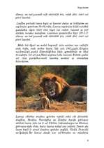 Referāts 'Kaķu dzimta', 9.