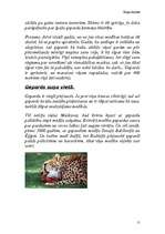 Referāts 'Kaķu dzimta', 11.