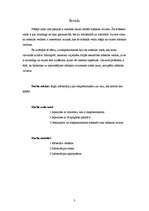 Referāts 'Ekspresionisms', 3.