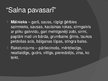Prezentācija 'R.Blaumaņa noveļu “Salna pavasarī” un “Raudupiete” salīdzinājums', 13.
