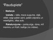 Prezentācija 'R.Blaumaņa noveļu “Salna pavasarī” un “Raudupiete” salīdzinājums', 16.
