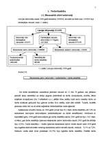 Referāts 'Bezdabrs Latvijā un Jelgavā', 5.