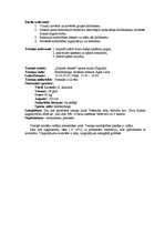 Konspekts 'Medicīniski pedagoģiskais novērojums', 2.