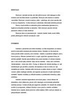 Referāts 'Cilvēka pamatemocijas', 3.