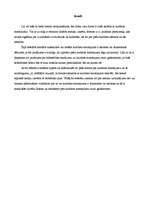 Referāts 'Kultūras mantojums - statisks vai dinamisks lielums?', 2.