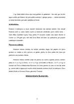 Referāts 'Florences mākslinieki', 4.