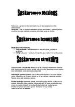 Konspekts 'Saskarsme', 1.