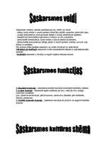 Konspekts 'Saskarsme', 2.