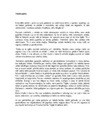 Eseja 'Vārda spēks', 1.