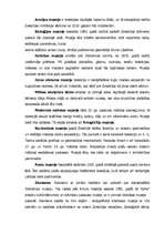 Referāts 'Zviedrijas tirgus vides analīze', 6.