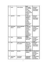 Referāts 'Stilistiski pazemināta leksika žurnālā "Forsāža"', 7.