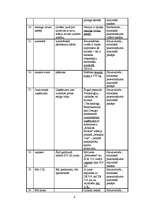 Referāts 'Stilistiski pazemināta leksika žurnālā "Forsāža"', 8.