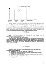 Referāts 'SIA "Nelss Logi"', 12.