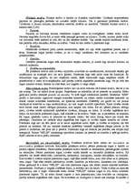 Referāts 'SIA "Nelss Logi"', 15.