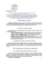 Referāts 'SIA "Nelss Logi"', 27.