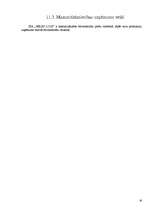 Referāts 'SIA "Nelss Logi"', 30.