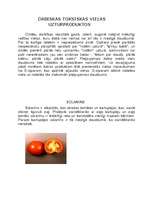 Referāts 'Dabiskās toksiskās vielas un mākslīgās kaitīgās vielas uzturproduktos', 1.