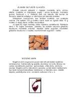 Referāts 'Dabiskās toksiskās vielas un mākslīgās kaitīgās vielas uzturproduktos', 2.