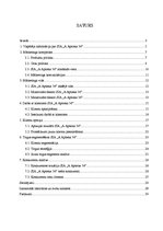 Prakses atskaite 'Prakses atskaite', 1.