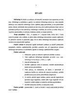 Prakses atskaite 'Prakses atskaite', 2.