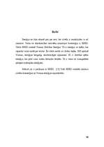 Referāts 'Bioenerģija (spēks, kas atšķir dzīvo no nedzīvā, varbūt Dievs)', 13.