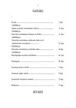 Diplomdarbs 'Nosacīta notiesāšana', 2.