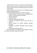 Prakses atskaite 'Grāmatvedības elementu novērtējums uzņēmumā', 4.