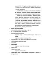 Prakses atskaite 'Grāmatvedības elementu novērtējums uzņēmumā', 6.