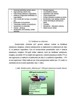 Prakses atskaite 'Grāmatvedības elementu novērtējums uzņēmumā', 12.