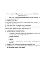 Prakses atskaite 'Grāmatvedības elementu novērtējums uzņēmumā', 22.