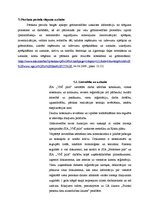 Prakses atskaite 'Grāmatvedības elementu novērtējums uzņēmumā', 26.