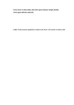 Prakses atskaite 'Grāmatvedības elementu novērtējums uzņēmumā', 33.