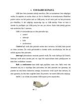 Referāts 'USB kopne', 10.