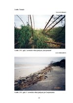 Referāts 'Vētras - bīstamās dabas stihijas', 25.