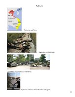 Referāts 'Vjetnamas karš', 15.