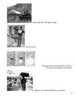 Referāts 'Vjetnamas karš', 17.