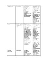 Paraugs 'Globālās sistēmas un globālā pārvaldība', 4.