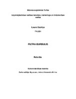 Eseja 'Filtra burbulis', 1.