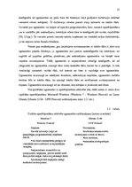 Diplomdarbs 'Drošības sistēmas ieviešana informācijas tehnoloģiju uzņēmumā', 23.