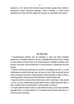 Referāts 'Bezdarbs un nodarbinātības politika Baltijas valstīs', 27.