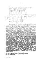 Biznesa plāns 'Biznesa plāns uzņēmējdarbībā', 4.