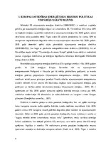 Referāts 'Eiropas Ssavienības atjaunīgo enerģētisko resursu politikas pašreizējo sasniegum', 4.