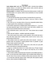 Referāts 'Tēja kā sociālās kultūras elements pasaulē un Talsu iedzīvotāju tējas lietošanas', 33.