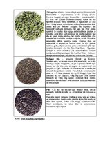 Referāts 'Tēja kā sociālās kultūras elements pasaulē un Talsu iedzīvotāju tējas lietošanas', 38.