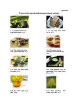 Referāts 'Tēja kā sociālās kultūras elements pasaulē un Talsu iedzīvotāju tējas lietošanas', 39.