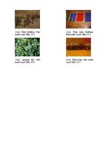 Referāts 'Tēja kā sociālās kultūras elements pasaulē un Talsu iedzīvotāju tējas lietošanas', 40.