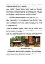 Referāts 'Tēja kā sociālās kultūras elements pasaulē un Talsu iedzīvotāju tējas lietošanas', 43.